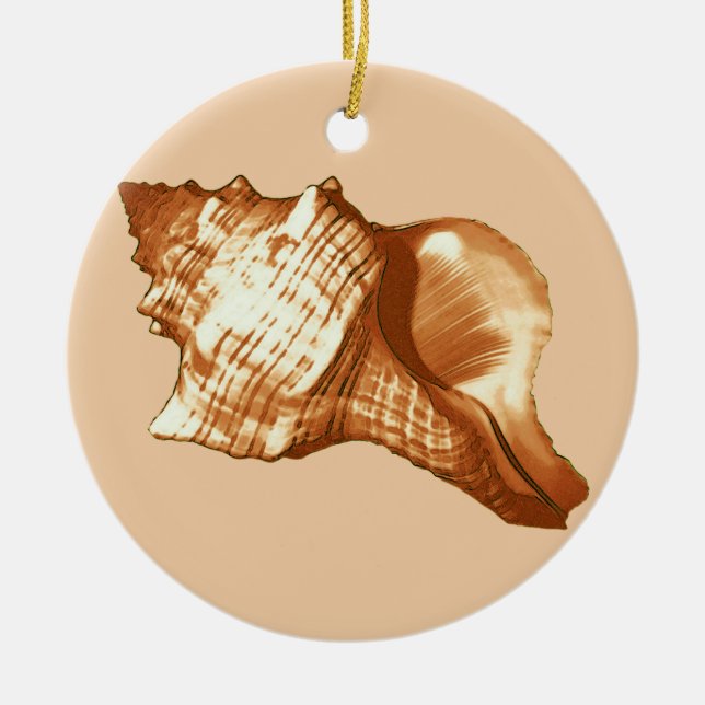 Conch shell sketch - brown, white and tan ceramic tree decoration (Front)