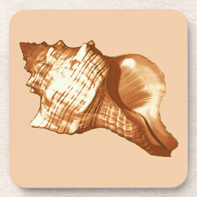 Conch shell sketch - brown, white and tan coaster (Front)