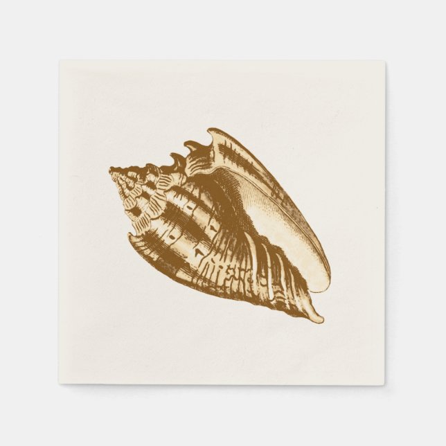 Conch shell sketch - brown, white and tan napkin (Front)