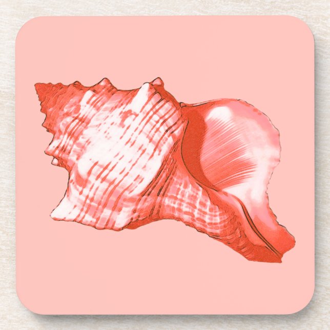 Conch shell sketch - coral, shell pink and white coaster (Front)