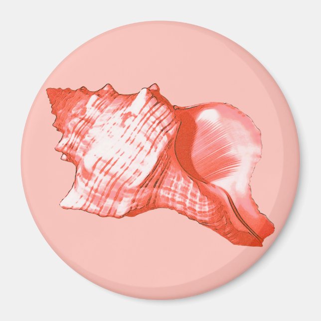 Conch shell sketch - coral, shell pink and white magnet (Front)