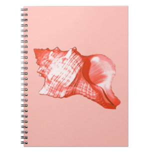 Conch shell sketch - coral, shell pink and white notebook