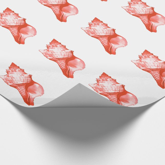Conch shell sketch - coral, shell pink and white wrapping paper (Corner)