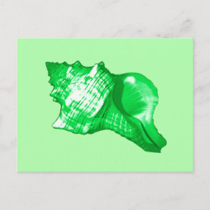 Conch shell sketch - emerald and lime green postcard