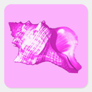 Conch shell sketch - shades of orchid and white square sticker