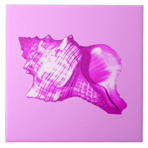 Conch shell sketch - shades of orchid and white tile