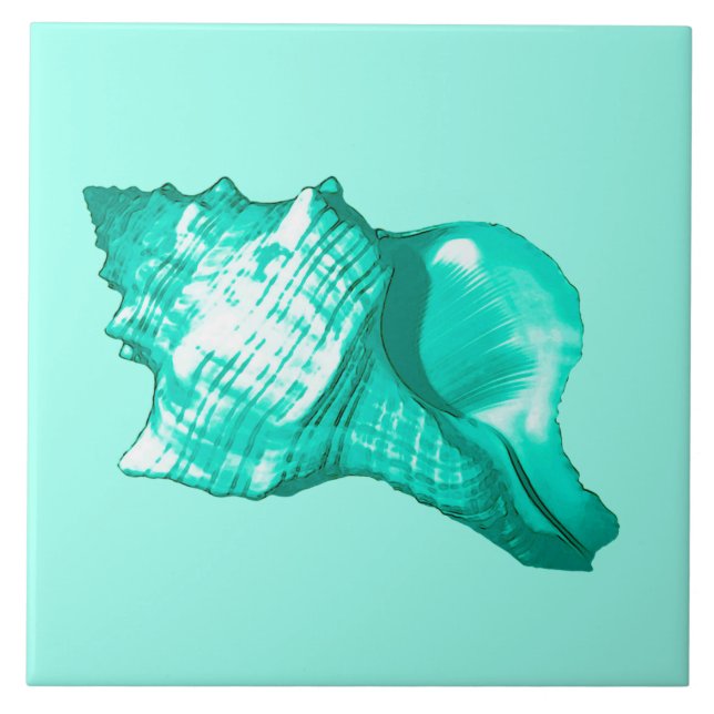 Conch shell sketch - turquoise, white and aqua tile (Front)