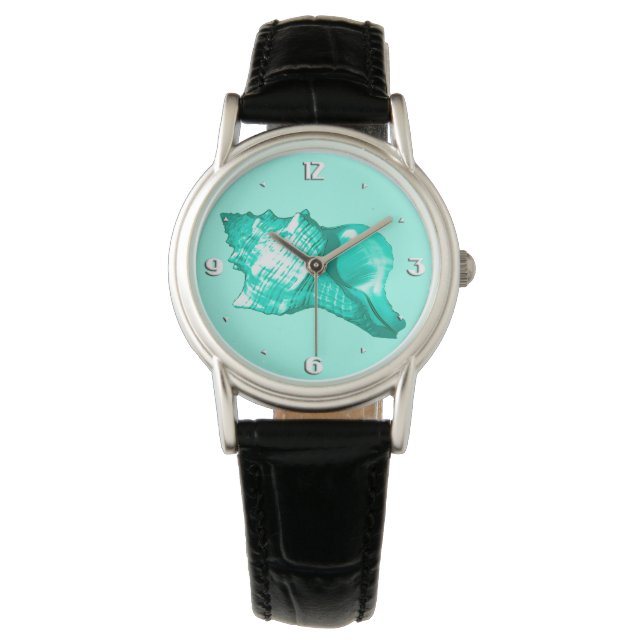 Conch shell sketch - turquoise, white and aqua watch (Front)