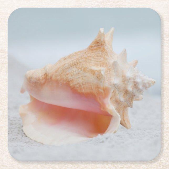 Conch Shell Square Paper Coaster (Front)
