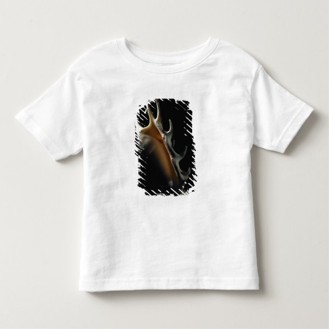 Conch shell toddler T-Shirt (Front)