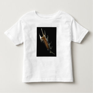 Conch shell toddler T-Shirt