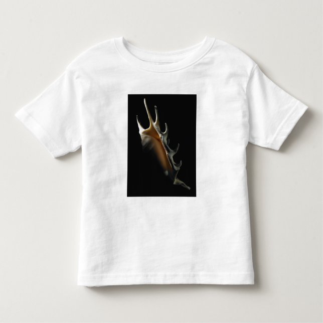 Conch shell toddler T-Shirt (Front)