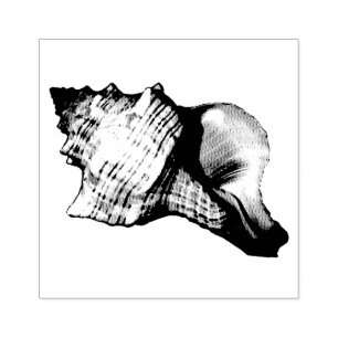 Conch Shell Vintage Illustration Rubber Stamp