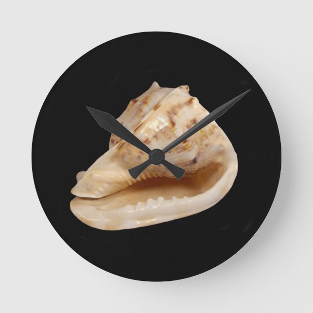 Conch Shell Wall Clock (Front)