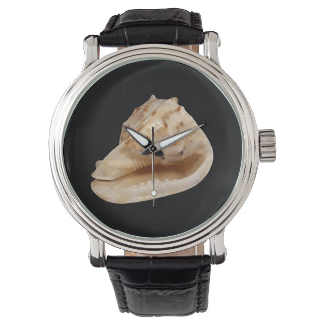 Conch Shell Watch (Front)