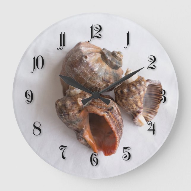Conch shells large clock (Front)