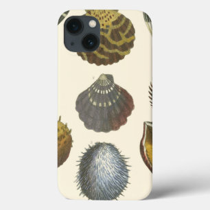 Conchology Collection iPhone 13 Case