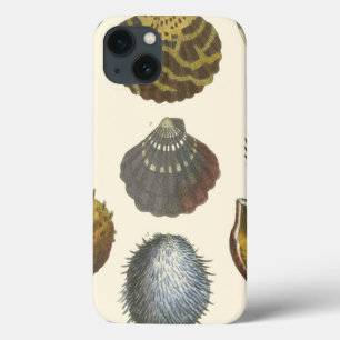 Conchology Collection iPhone 13 Case