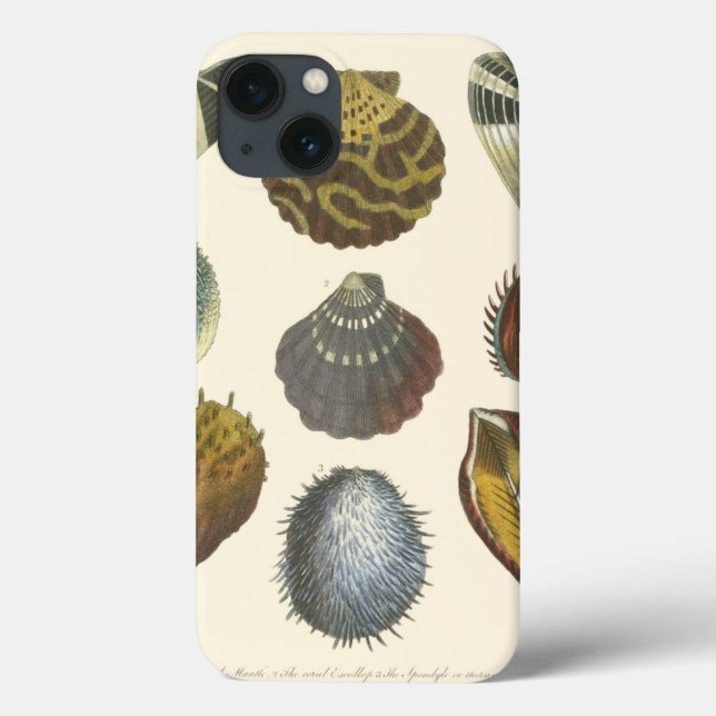 Conchology Collection Case-Mate iPhone Case (Back)
