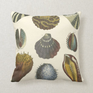 Conchology Collection Cushion