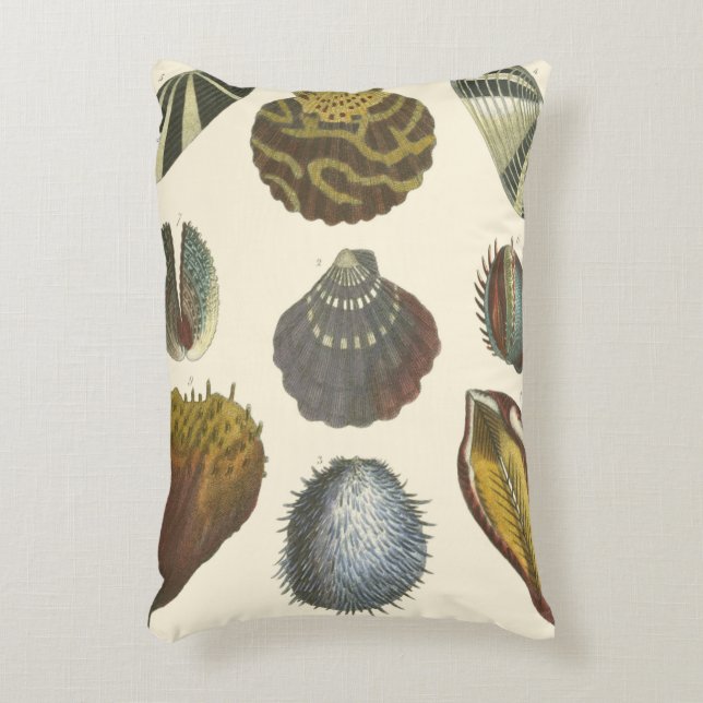 Conchology Collection Decorative Cushion (Front(Vertical))
