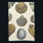 Conchology Collection Tea Towel<br><div class="desc">If you can't get to the beach today, get this classic style image of this unique image of sea life by Albertus Seba! Imagine yourself on a beach discovering Sea anemones that nature has to offer. These seashells and sea plants by the ocean is surrounded by warm sand in this...</div>