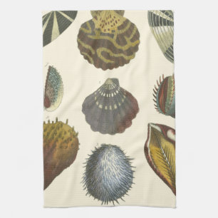 Conchology Collection Tea Towel