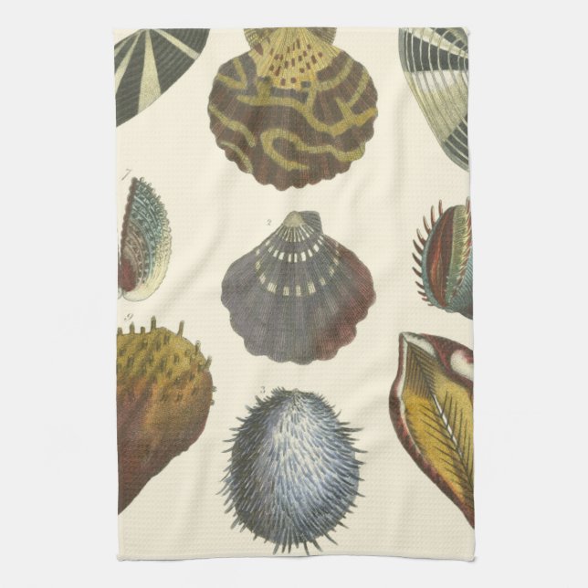 Conchology Collection Tea Towel (Vertical)