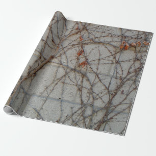 Concrete Block Wall With Vines Wrapping Paper