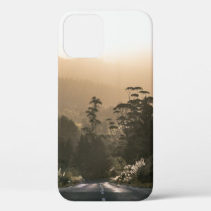 CONCRETE ROAD SURROUNDED BY TREES iPhone 12 CASE