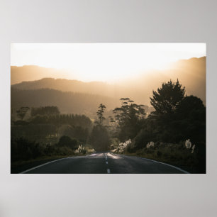 CONCRETE ROAD SURROUNDED BY TREES POSTER