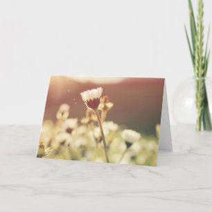 Condolence sympathy grief flower in the sun card