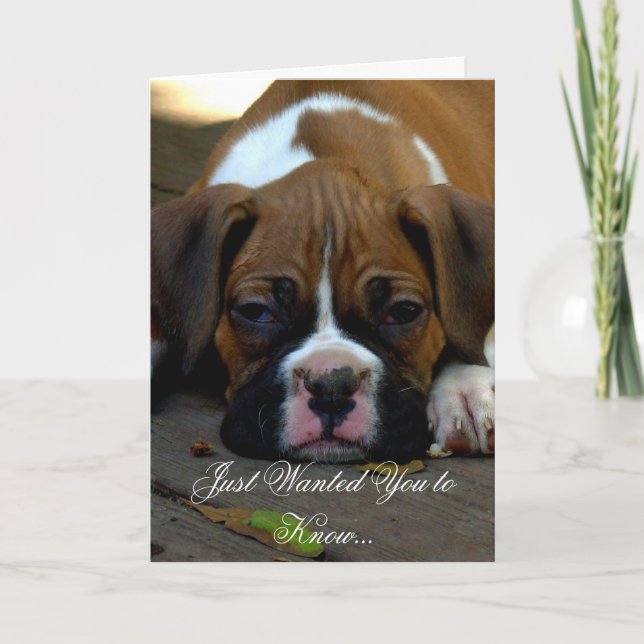 Condolences Boxer puppy greeting card (Front)