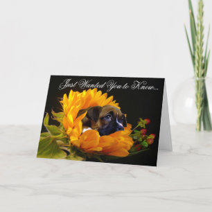 Condolences Boxer puppy greeting card
