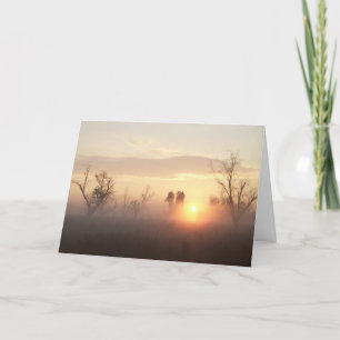 Condolences / Sympathy Card