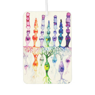 Cone cells rod cells and bipolar neuron of retina car air freshener