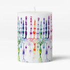 Cone cells rod cells and bipolar neurond of retina