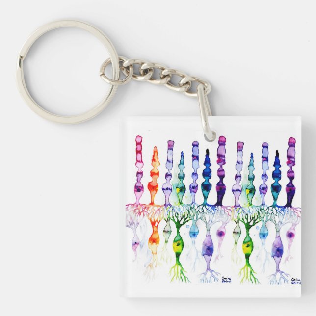 Cone cells rod cells and bipolar neurond of retina key ring (Front)