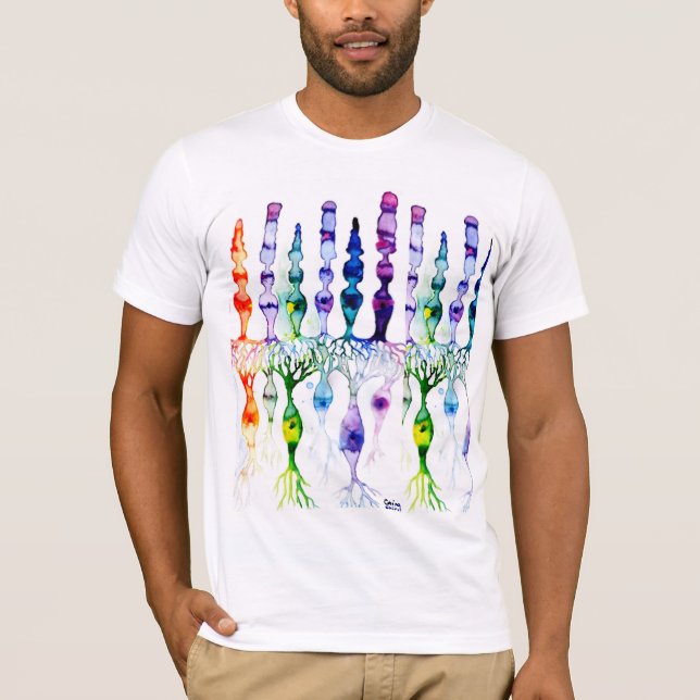 Cone cells rod cells and bipolar neurons of retina T-Shirt (Front)