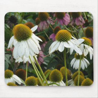 Cone Flower Mouse Pad