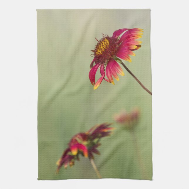 Cone Flowers beginning to bloom Tea Towel (Vertical)