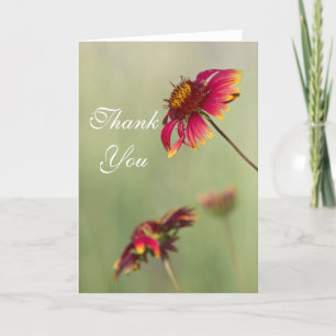 Cone Flowers beginning to bloom Thank you. You Card