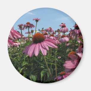Cone Flowers Magnet