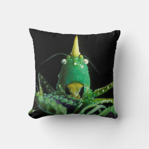 Cone-Headed Grasshopper Cushion