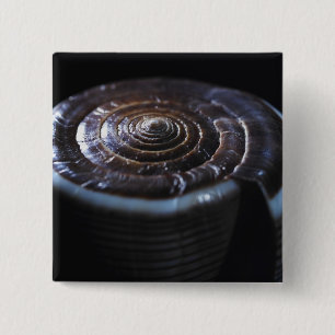 Cone shell 15 cm square badge
