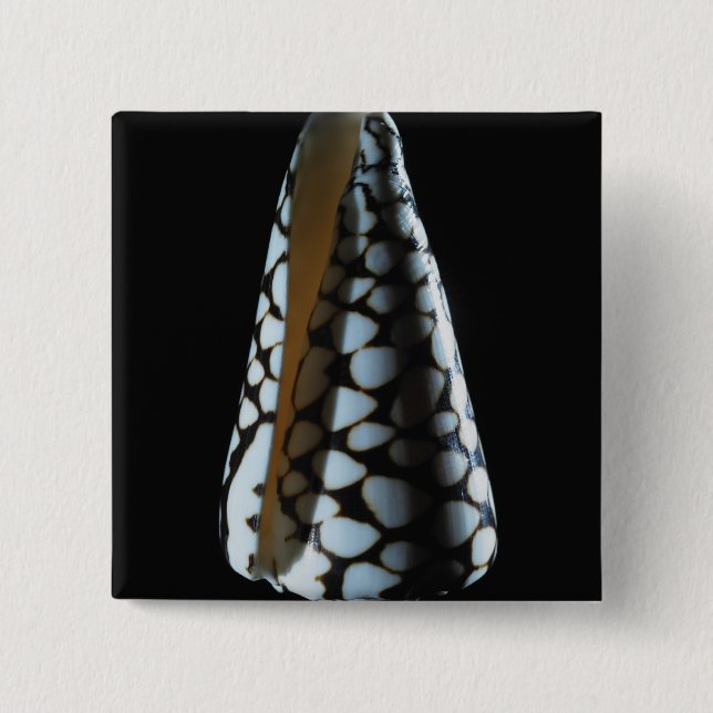 Cone shell 2 15 cm square badge (Front)