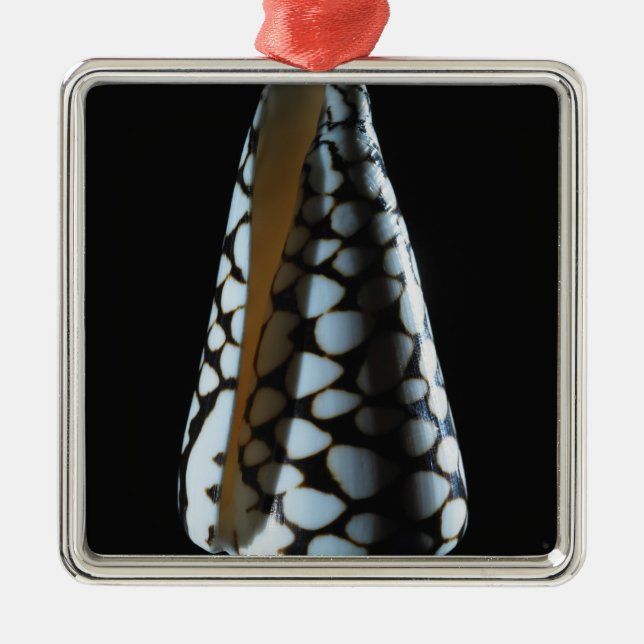 Cone shell 2 metal tree decoration (Front)