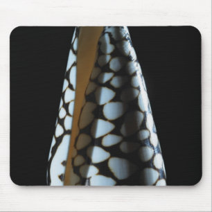 Cone shell 2 mouse pad