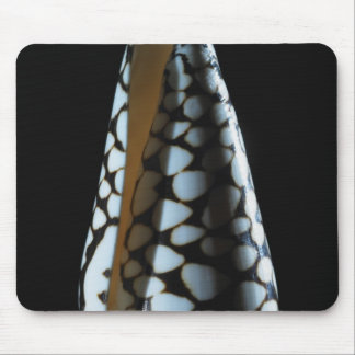 Cone shell 2 mouse pad
