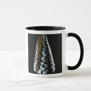 Cone shell 2 mug
